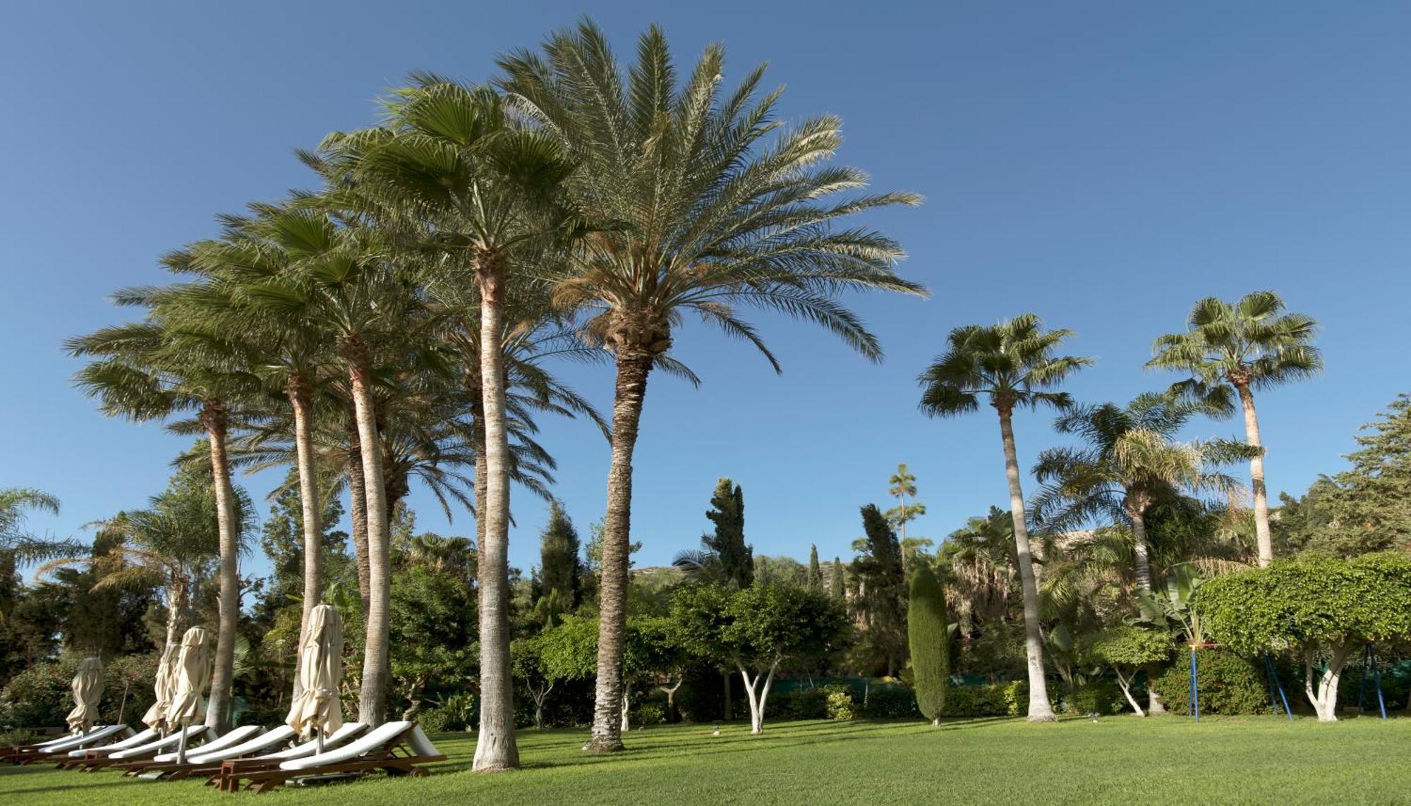 Columbia Beach Resort Pissoúri Eksteriør bilde Palm trees in the park